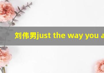 刘伟男just the way you are